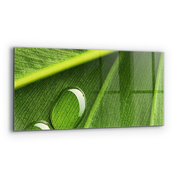Dekoratív panel, Wallfluent, Üveg, Harmatcsepp a Levélen, Többszínű, 125x50 cm, 010010510070000077149