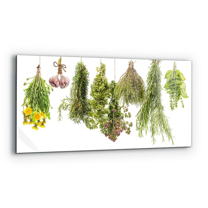 Dekoratív panel, Wallfluent, Üveg, Szárított Gyógynövények, Többszínű, 125x50 cm, 010010510070000077340