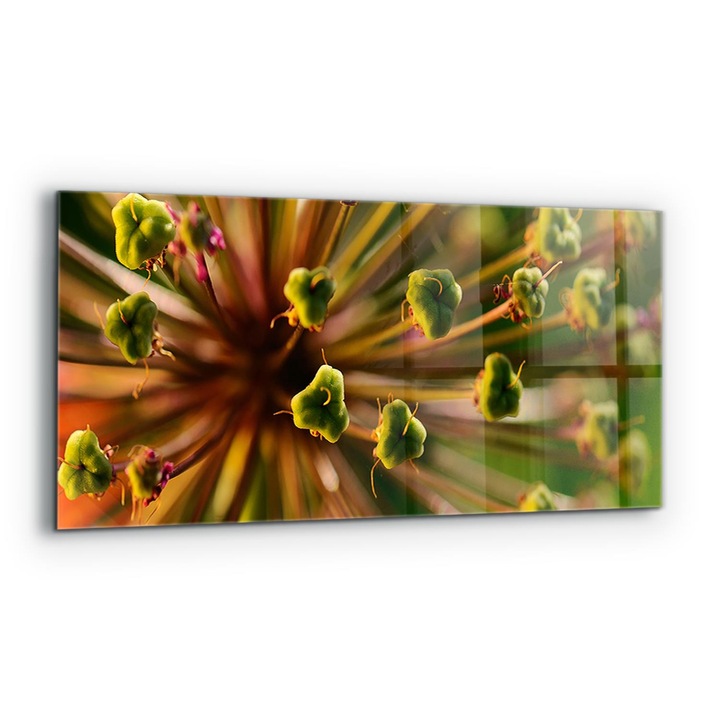 Dekoratív panel, Wallfluent, Üveg, Virágmakró Fotó, Többszínű, 125x50 cm, 010010510070000077352