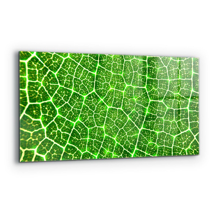 Dekoratív panel, Wallfluent, Üveg, A zöld botanika ereje, Többszínű, 140x70 cm, 010010510080000077408