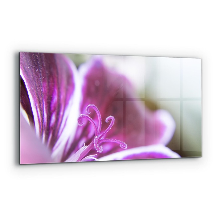 Dekoratív panel, Wallfluent, Üveg, Rózsaszín virág Természet Részletek, Többszínű, 140x70 cm, 010010510080000077235