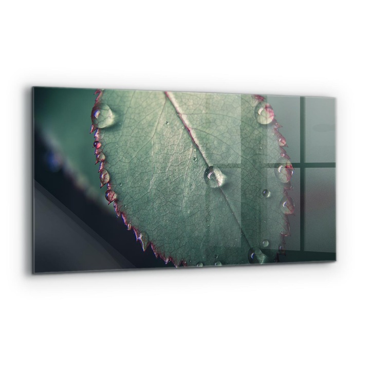 Dekoratív panel, Wallfluent, Üveg, Levél egy csepp harmattal, Többszínű, 140x70 cm, 010010510080000077219