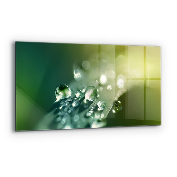 Dekoratív panel, Wallfluent, Üveg, Harmat Zöld Leveleken, Többszínű, 140x70 cm, 010010510080000077232