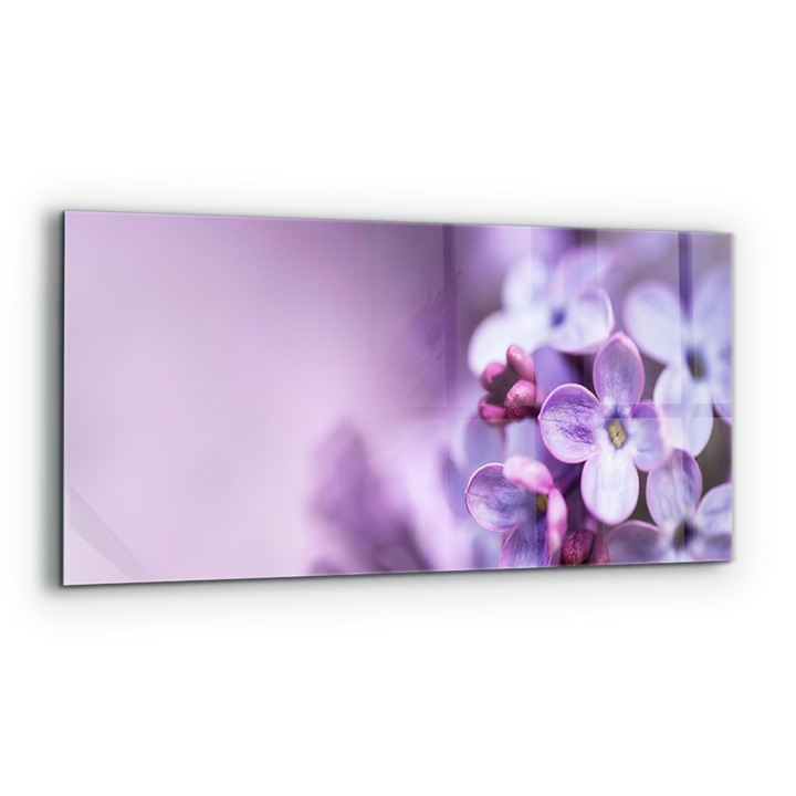 Dekoratív panel, Wallfluent, Üveg, Lila Virágok, Többszínű, 125x50 cm, 010010510070000077242