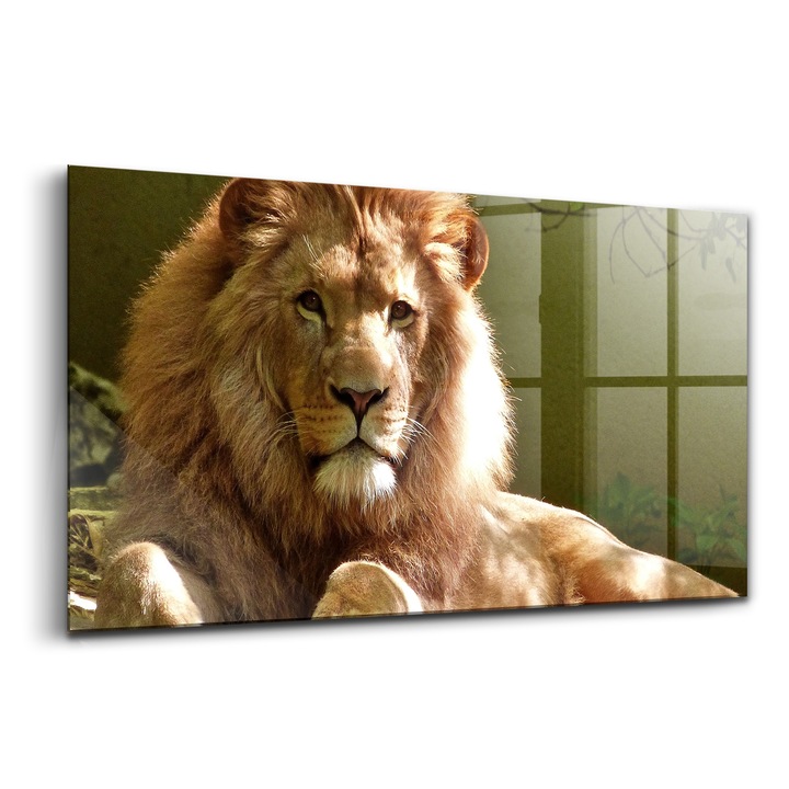 Tablou, Wallfluent, Sticla, Portretul Unui Leu Animal Salbatic, Galben, 140x70 cm