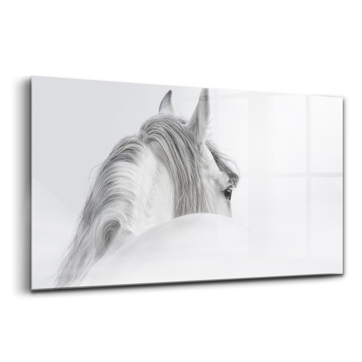 Tablou, Wallfluent, Sticla, Cal Andaluz In Ceata, Alb, 140x70 cm