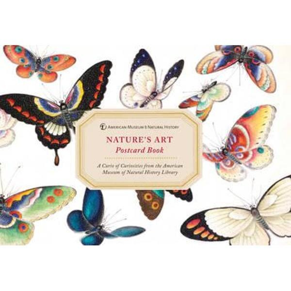 Amnh Nature's Art Postcard Book