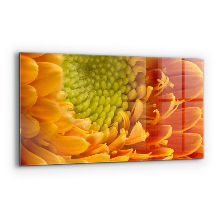 Dekoratív panel, Wallfluent, Üveg, Gerbera Narancsvirág, Többszínű, 140x70 cm, 010010510080000077286
