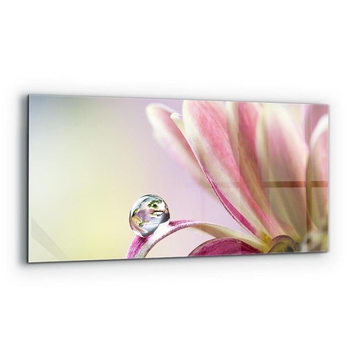 Dekoratív panel, Wallfluent, Üveg, Virág hajnali harmatcseppel, Többszínű, 125x50 cm, 010010510070000077145