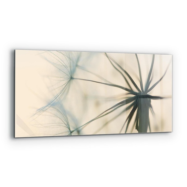 Dekoratív panel, Wallfluent, Üveg, Gyönyörű Finom Pitypang, Többszínű, 125x50 cm, 010010510070000077362