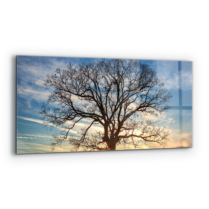 Dekoratív panel, Wallfluent, Üveg, Reggeli Réti Táj, Többszínű, 125x50 cm, 010010510070000077209