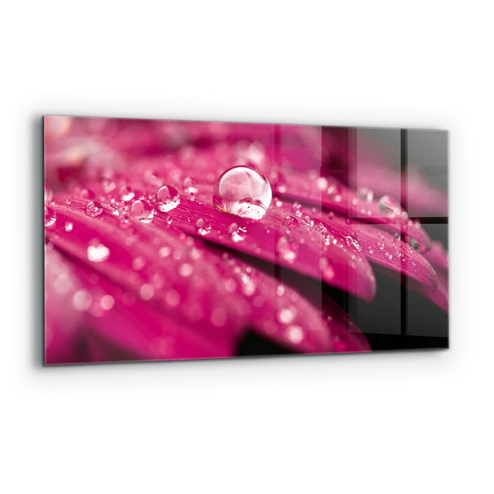 Dekoratív panel, Wallfluent, Üveg, Rózsaszín növényi virág, Többszínű, 140x70 cm, 010010510080000077298