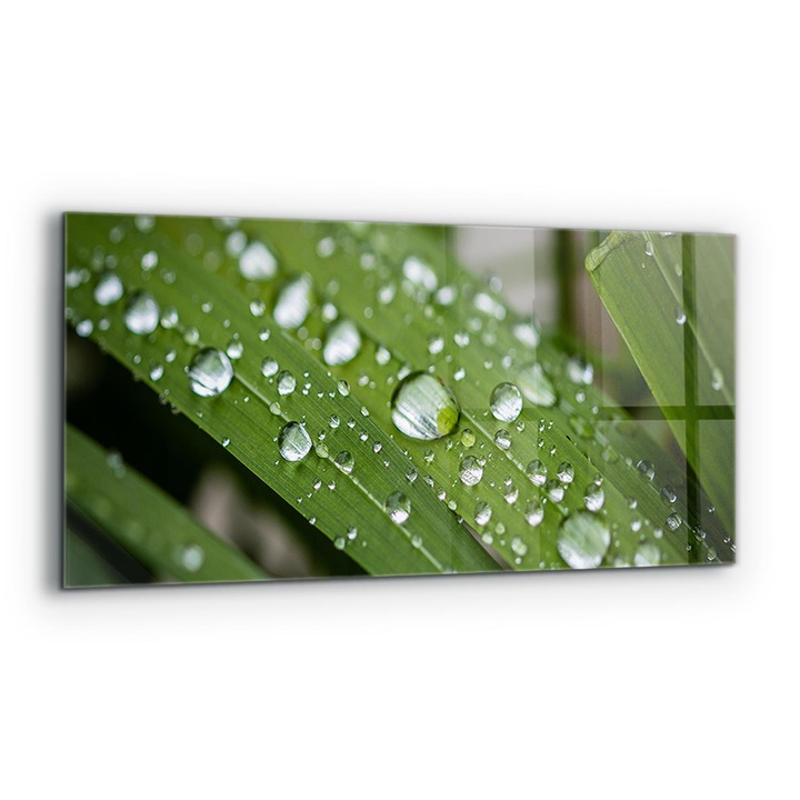 Dekoratív panel, Wallfluent, Üveg, Harmatcseppek a füvön, Többszínű, 125x50 cm, 010010510070000077234