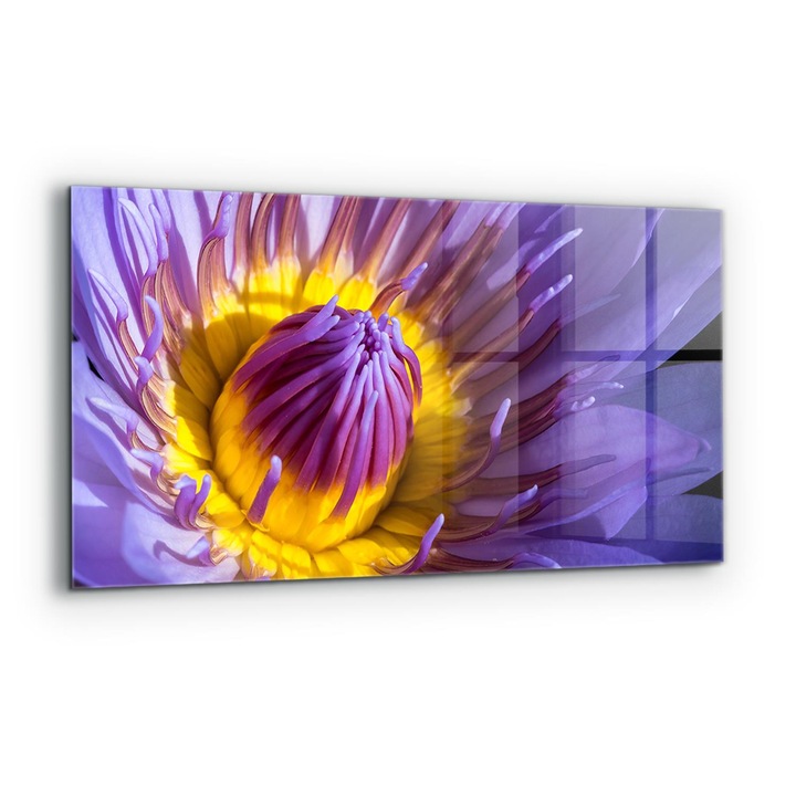 Dekoratív panel, Wallfluent, Üveg, Lila virágrészletek, Többszínű, 140x70 cm, 010010510080000077229