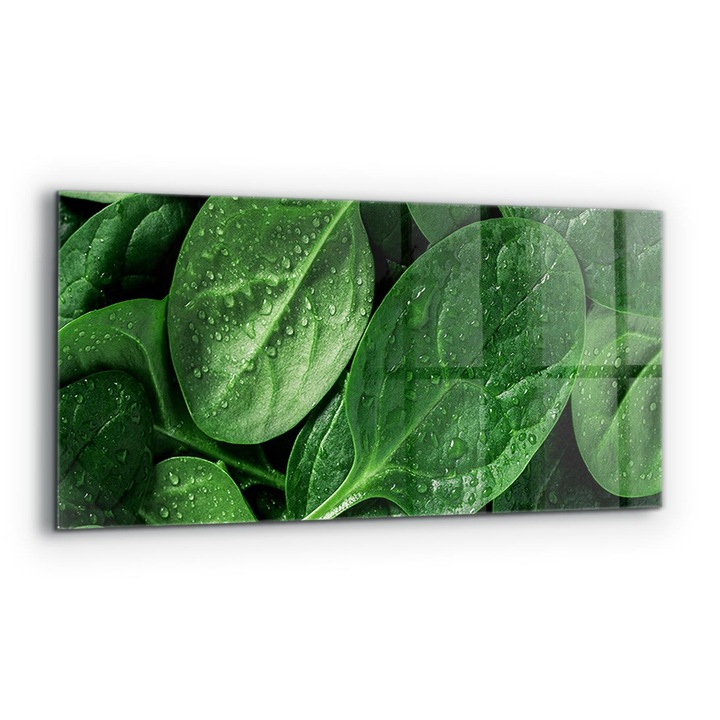 Dekoratív panel, Wallfluent, Üveg, Egészséges Spenót, Többszínű, 125x50 cm, 010010510070000077273