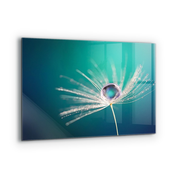 Dekoratív panel, Wallfluent, Üveg, Pitypang Harmatcseppel, Többszínű, 100x70 cm, 010010510030000077398