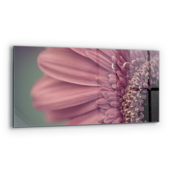 Dekoratív panel, Wallfluent, Üveg, Margaretka Gerbera Virág, Többszínű, 125x50 cm, 010010510070000077259