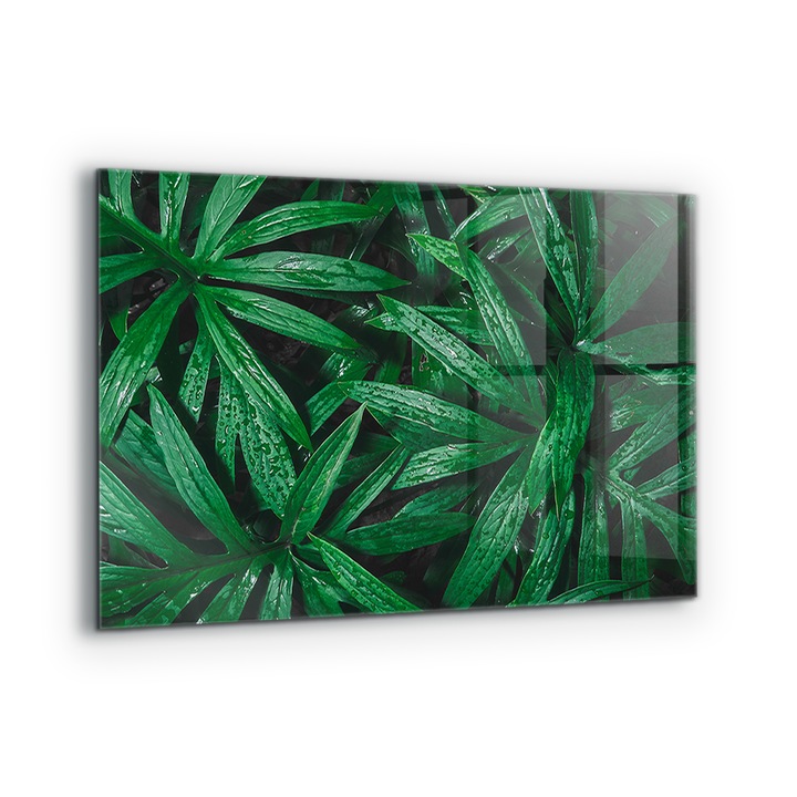 Dekoratív panel, Wallfluent, Üveg, Egzotikus dzsungellevelek, Többszínű, 100x70 cm, 010010510030000077396