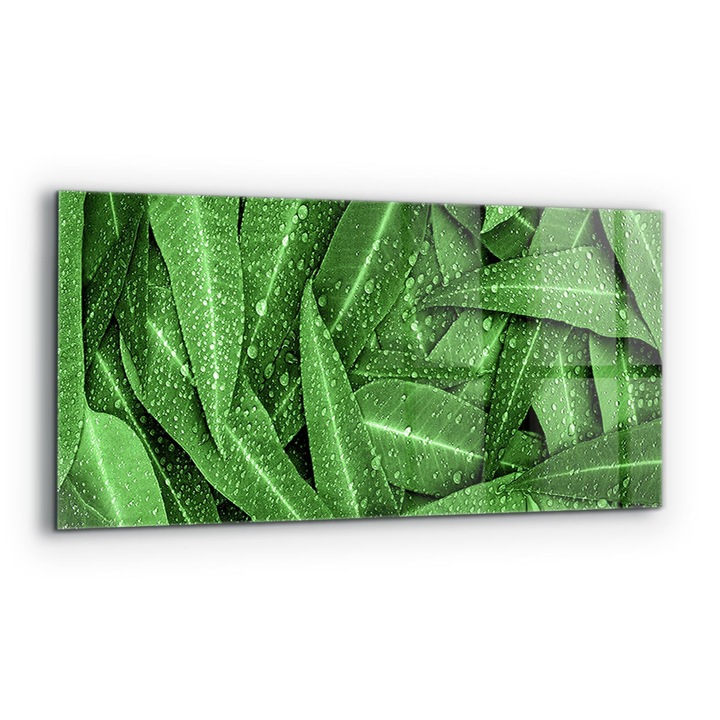 Dekoratív panel, Wallfluent, Üveg, Zöld Levelek Eső után, Többszínű, 125x50 cm, 010010510070000077257