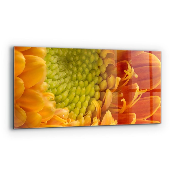 Dekoratív panel, Wallfluent, Üveg, Gerbera Narancsvirág, Többszínű, 125x50 cm, 010010510070000077286