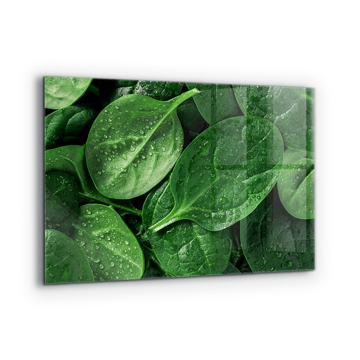Dekoratív panel, Wallfluent, Üveg, Spenótlevél Egészség, Többszínű, 100x70 cm, 010010510030000077273