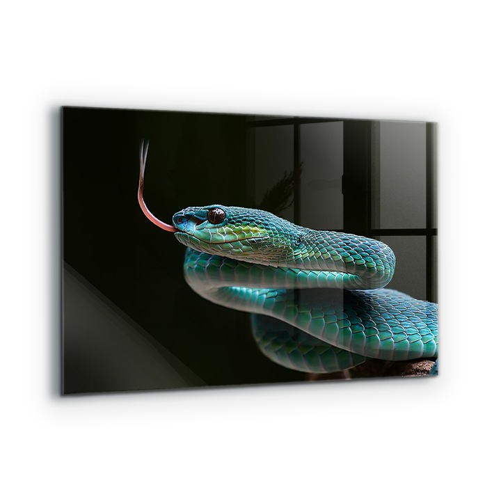 Dekoratív panel, Wallfluent, Üveg, Snake Wildlife, Többszínű, 100x70 cm, 010010510030000077397
