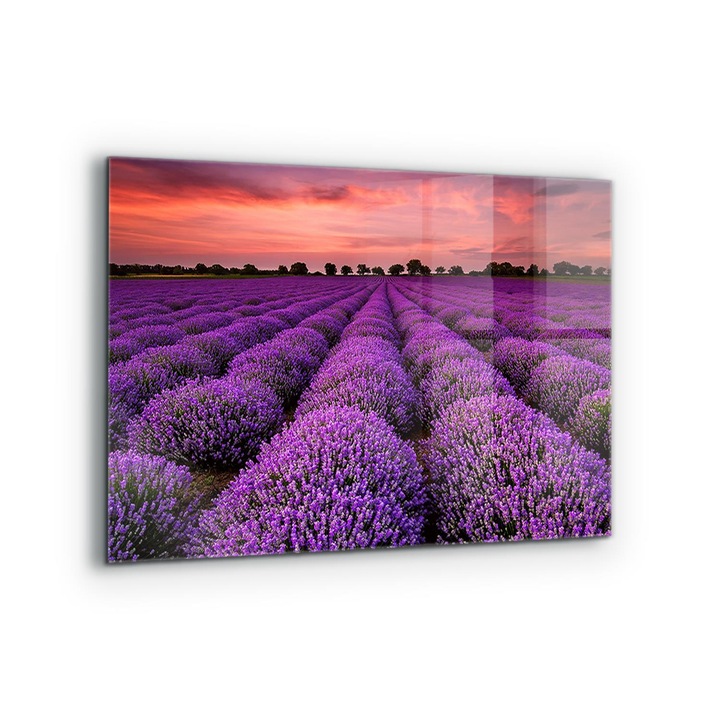 Dekoratív panel, Wallfluent, Üveg, Levendula mező, Többszínű, 80x60 cm, 010010510130000077317