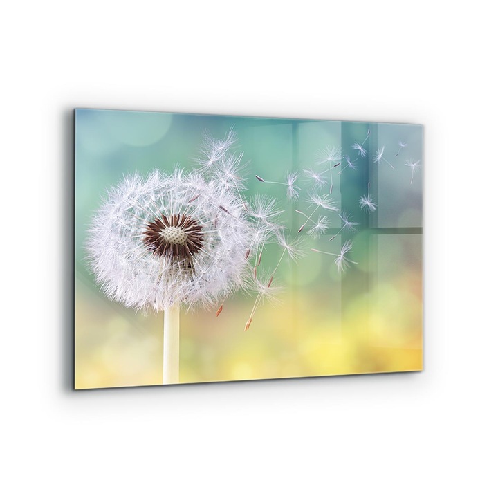 Dekoratív panel, Wallfluent, Üveg, Pitypang Pitypang a szélben, Többszínű, 80x60 cm, 010010510130000077245