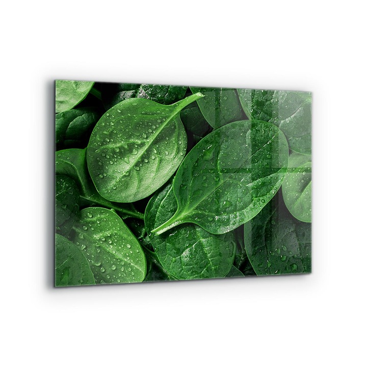 Dekoratív panel, Wallfluent, Üveg, Egészséges Spenót, Többszínű, 80x60 cm, 010010510130000077273