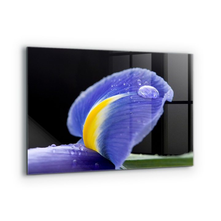 Dekoratív panel, Wallfluent, Üveg, Ibolya írisz virág, Többszínű, 100x70 cm, 010010510030000077208