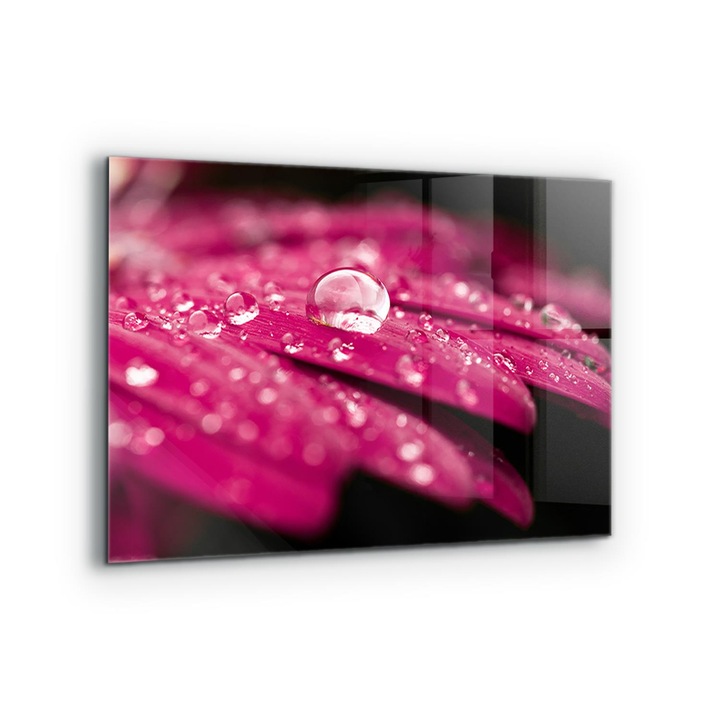 Dekoratív panel, Wallfluent, Üveg, Rózsaszín növényi virág, Többszínű, 80x60 cm, 010010510130000077298