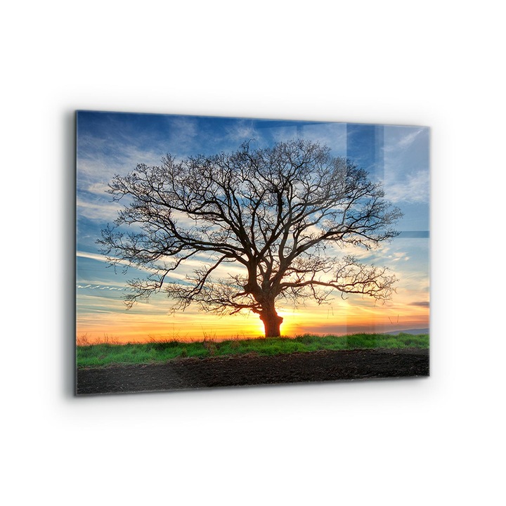 Dekoratív panel, Wallfluent, Üveg, Reggeli Réti Táj, Többszínű, 80x60 cm, 010010510130000077209