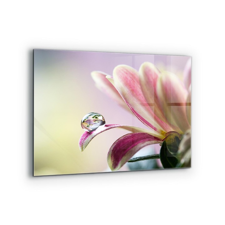 Dekoratív panel, Wallfluent, Üveg, Virág hajnali harmatcseppel, Többszínű, 80x60 cm, 010010510130000077145