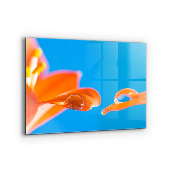 Dekoratív panel, Wallfluent, Üveg, Narancsvirág, Többszínű, 80x60 cm, 010010510130000077283