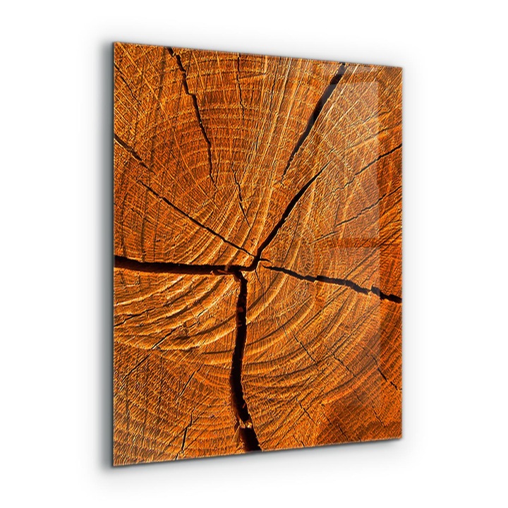 Dekoratív panel, Wallfluent, Üveg, Csomagtartó szerkezet, Többszínű, 60x80 cm, 010010510140000030949