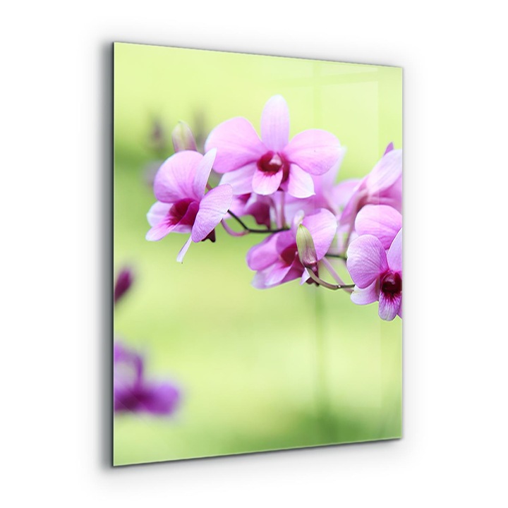 Dekoratív panel, Wallfluent, Üveg, Lila Orchidea, Többszínű, 60x80 cm, 010010510140000077358
