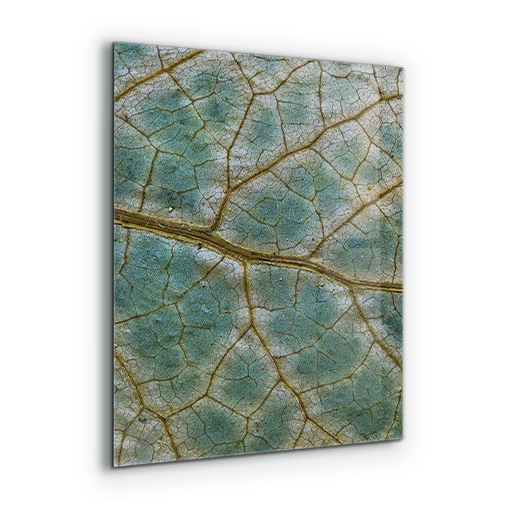 Dekoratív panel, Wallfluent, Üveg, Levelek textúrája, Többszínű, 60x80 cm, 010010510140000077279