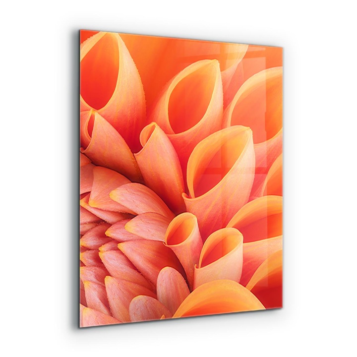 Dekoratív panel, Wallfluent, Üveg, Narancsvirág, Többszínű, 60x80 cm, 010010510140000077218