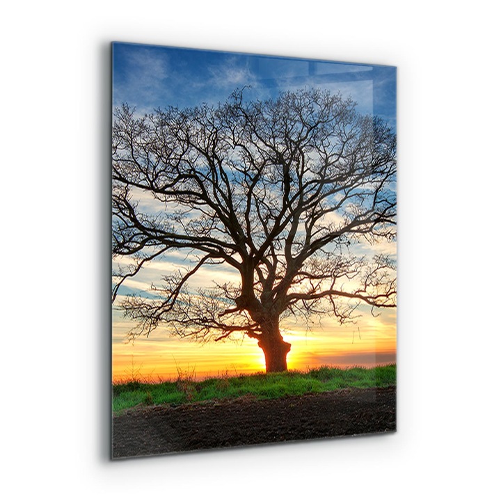 Dekoratív panel, Wallfluent, Üveg, Reggeli Réti Táj, Többszínű, 60x80 cm, 010010510140000077209