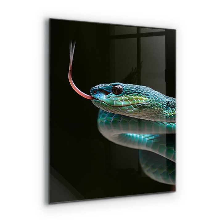 Dekoratív panel, Wallfluent, Üveg, Snake Wildlife, Többszínű, 60x80 cm, 010010510140000077271