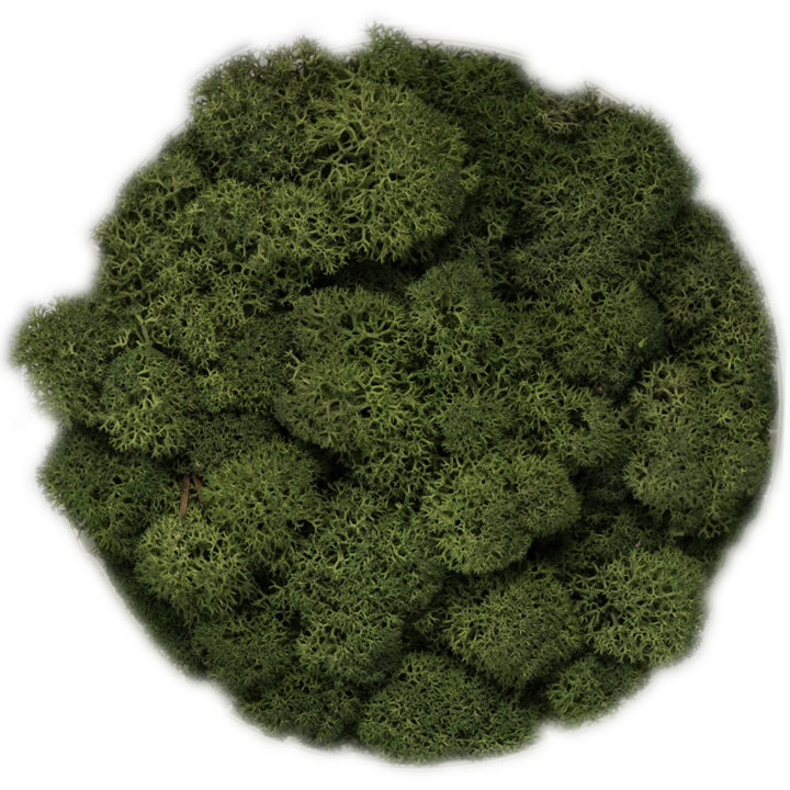 Скандинавски мъх Moss Green