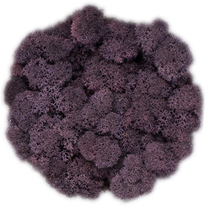 Скандинавски мъх Aubergine