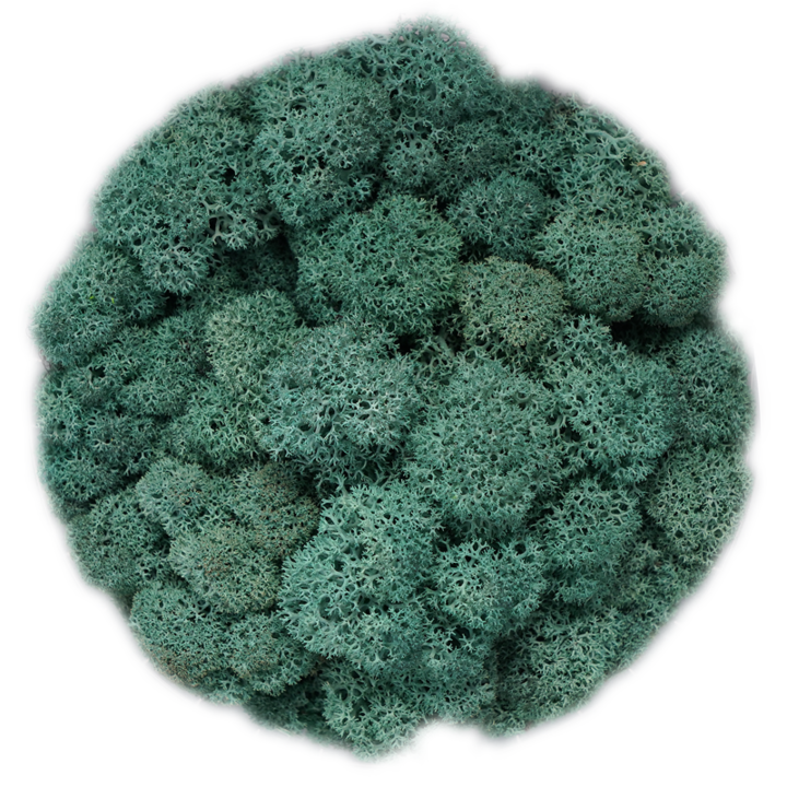 Скандинавски мъх PACIFIC GREEN, 0.5 kg