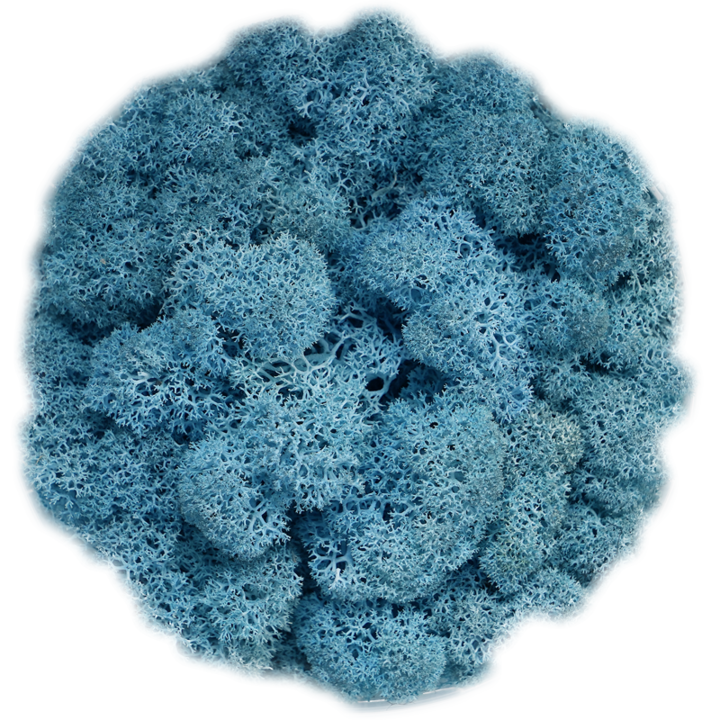 Скандинавски мъх LAVENDER BLUE, 0.5 kg