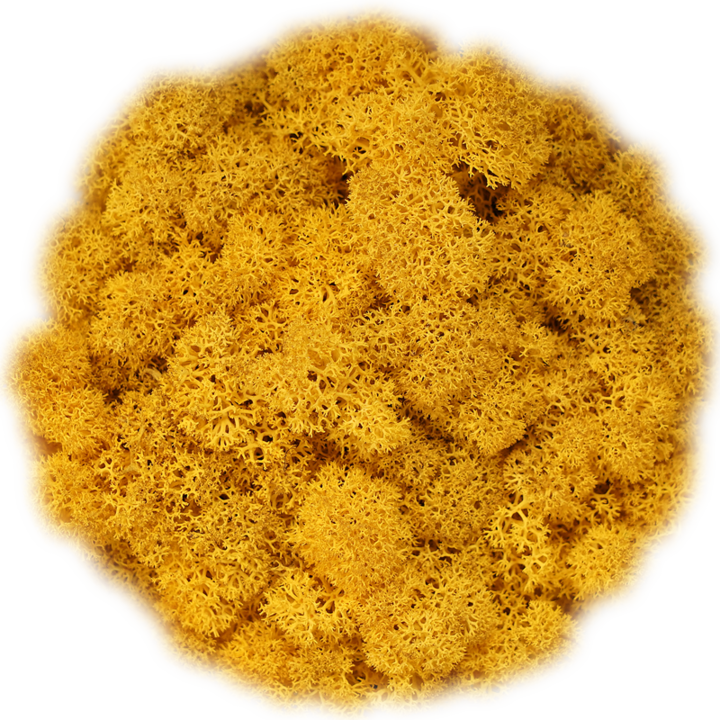 Скандинавски мъх Orange, 0.5 kg