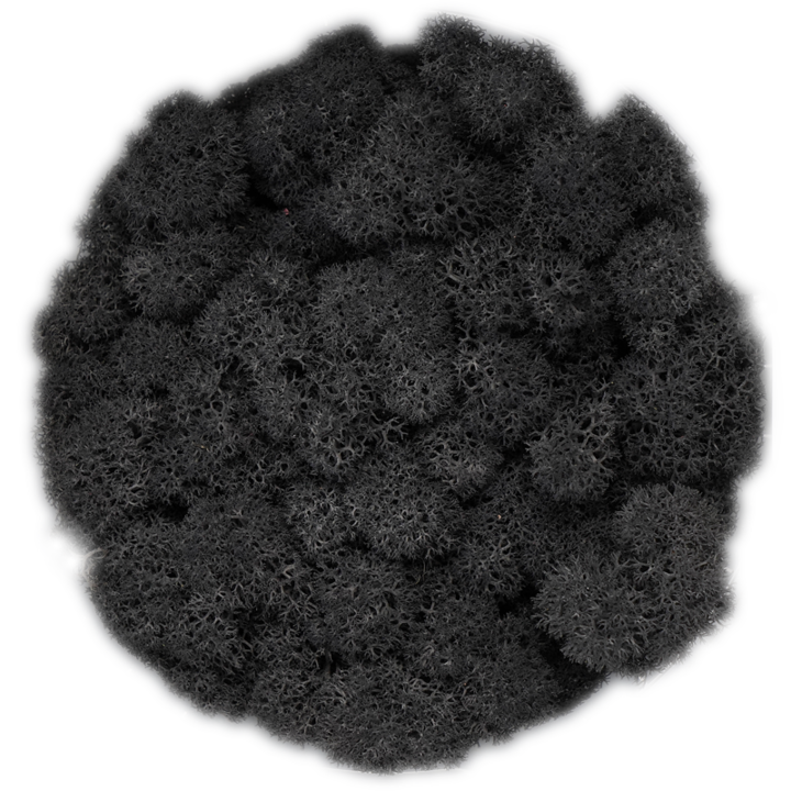 Скандинавски мъх Black, 0.5 kg