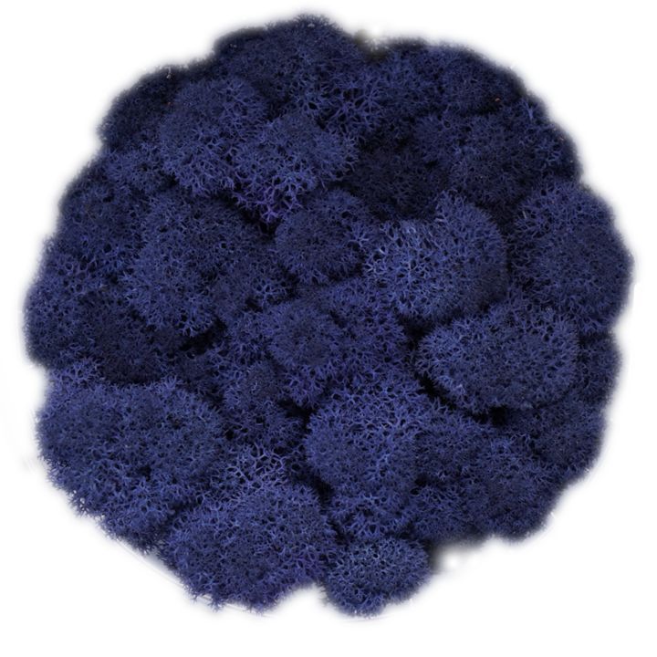 Скандинавски мъх CLASIC BLUE, 0.5 kg