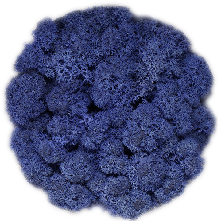 Скандинавски мъх ROYAL BLUE, 0.5 kg