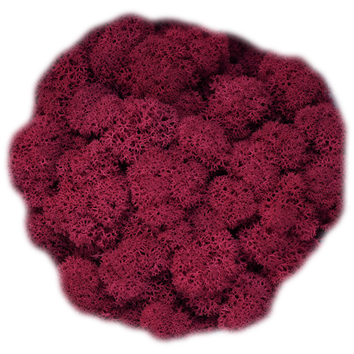 Скандинавски мъх CRIMSON, 0.5 kg