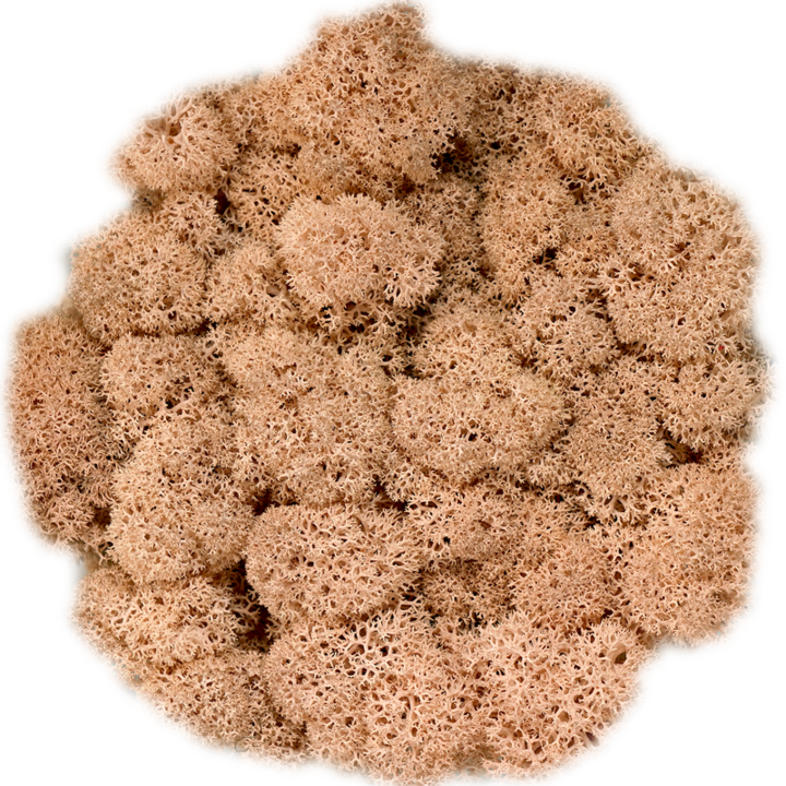 Скандинавски мъх PEACH,0.5 kg